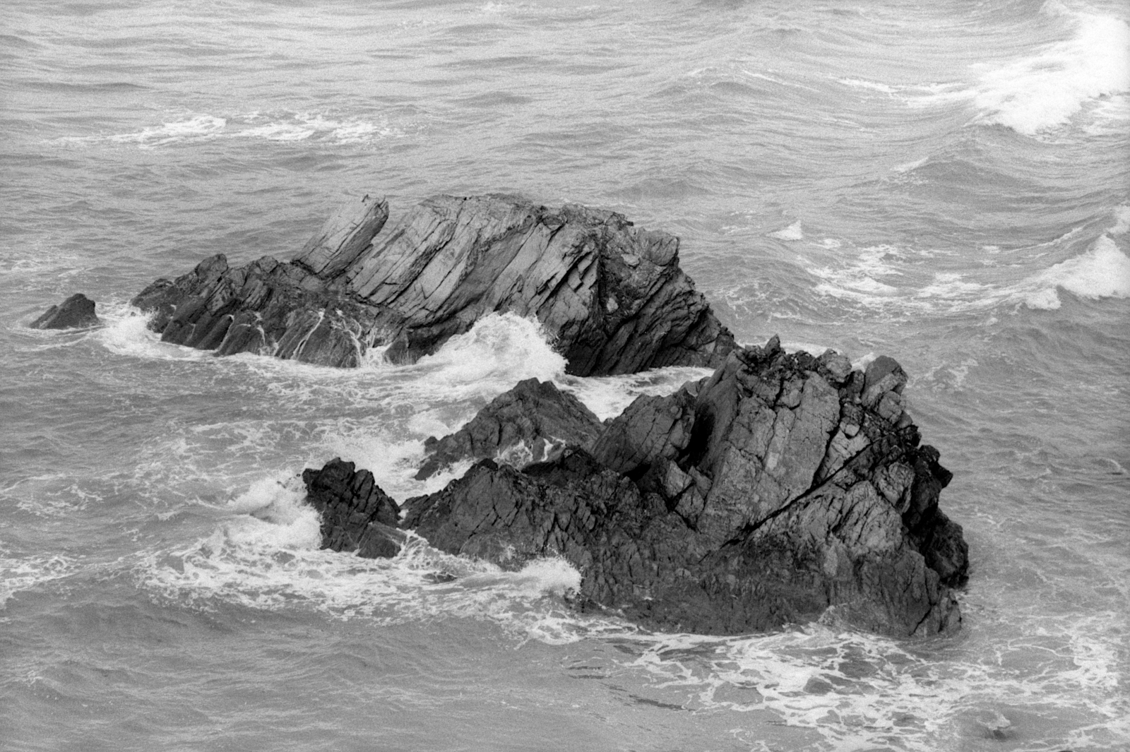 High Tide at Sharrow Point